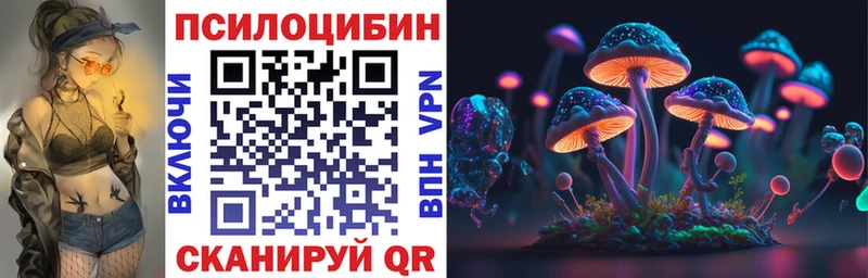 где купить наркотик  Горняк  Псилоцибиновые грибы мицелий 