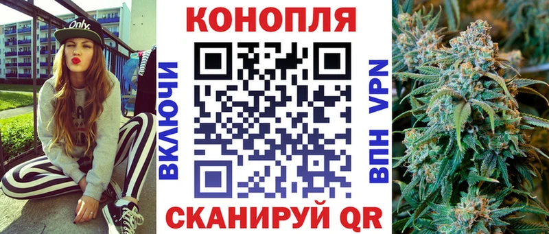 Канабис планчик Горняк
